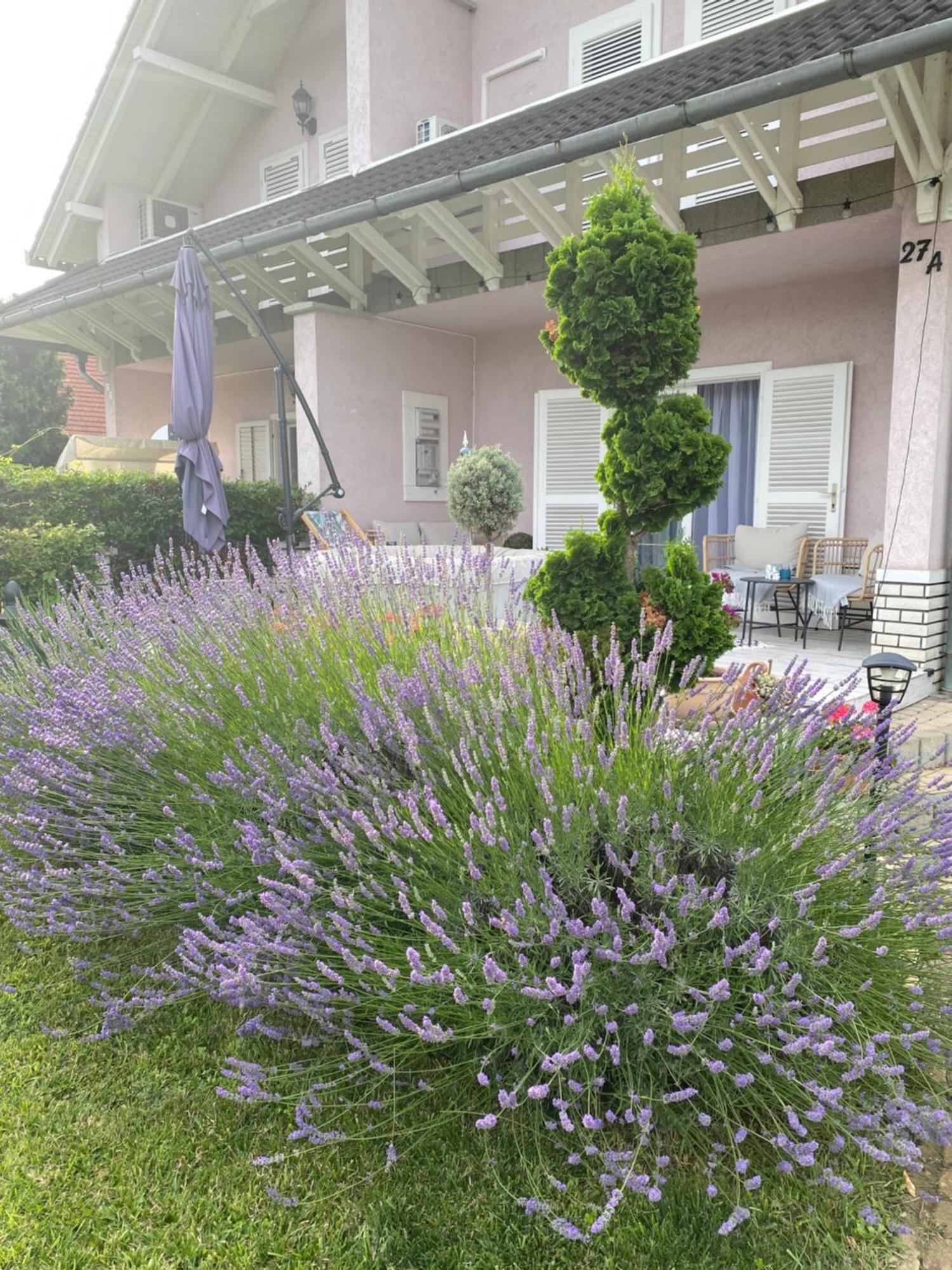 Villa Scamard 扎马迪 外观 照片